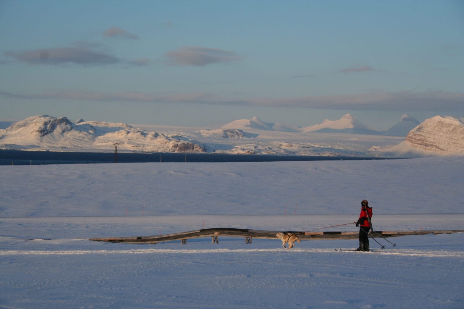 A person skiing with a dog across the snow towards distant mountains